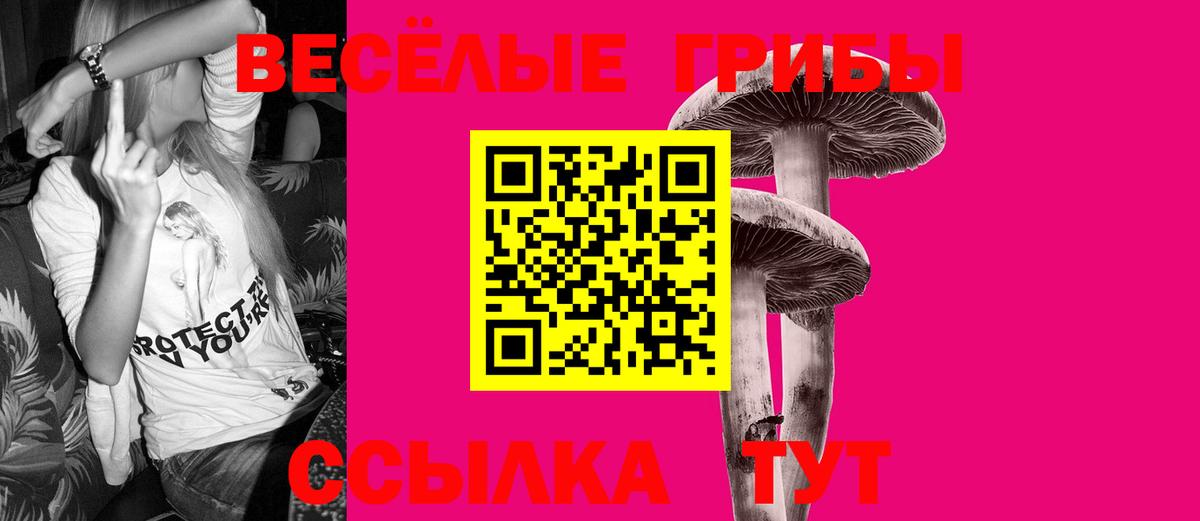 Котовск  Псилоцибиновые грибы MAGIC MUSHROOMS  Галлюциногенные грибы мухоморы  Вход с VPN 