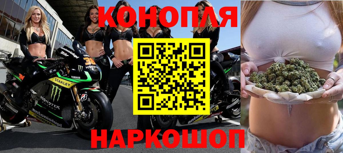 Бошки марихуана AK-47  Бошки марихуана конопля  Вход с VPN  Конопля Amnesia  Котовск 
